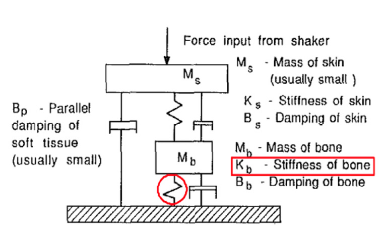 stp ohio univ bone testing diagram 1